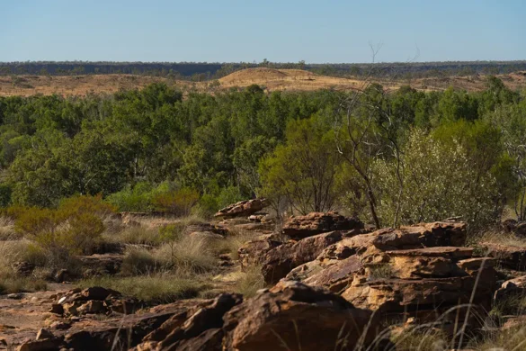 Gibb River Road – Manning Gorge Hike Gibb River Road - Manning Gorge Hike
