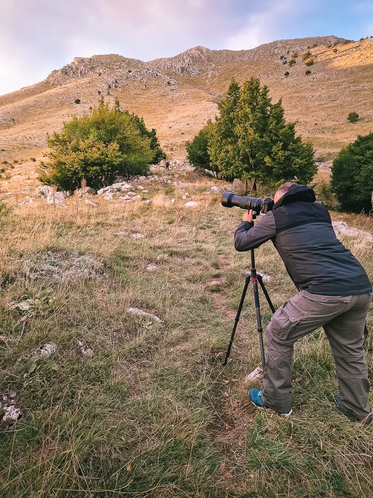 Slow Travel - Fotografia Wildlife