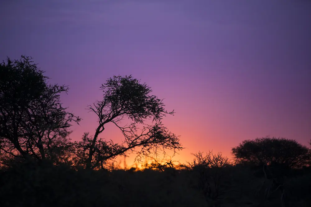 Tramonto nella savana