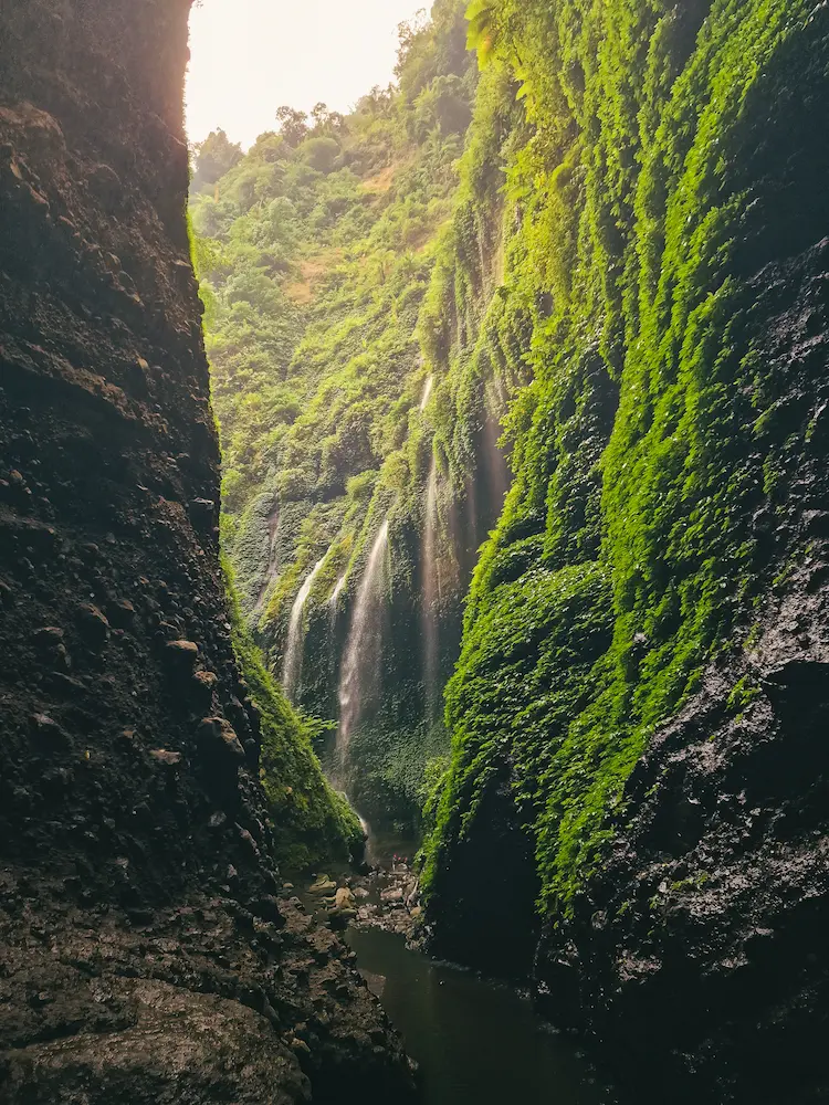 Camminado verso Madakaripura Waterfall